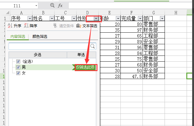 Excel筛选功能使用指南 