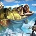 实况钓鱼v1.021 免费版