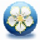 EnShuo Kux转MP4工具新版