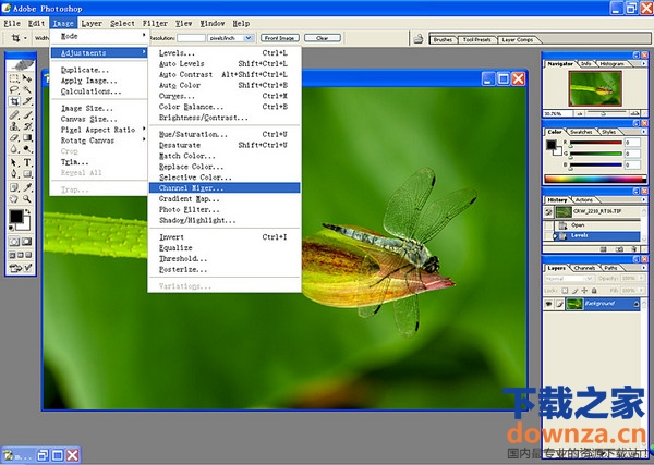 Photoshop CS 8.0 截图