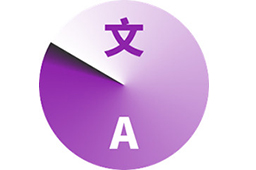 CopyTranslator