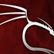 BackTrack 5便携Linux安全平台v5.0