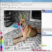Win7系统XP画图工具Paint XP